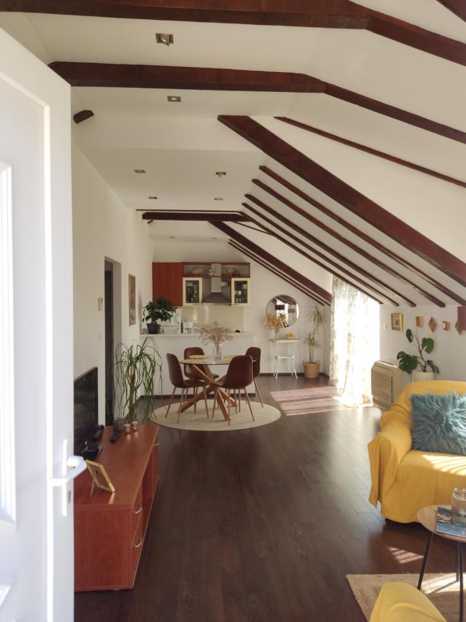Attic Iris Appartamento